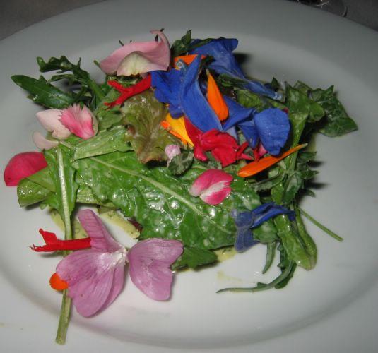 2005-08-18n-1 Salad.JPG