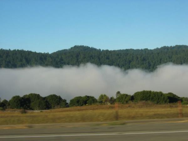 2005-08-23g Fog 7.JPG