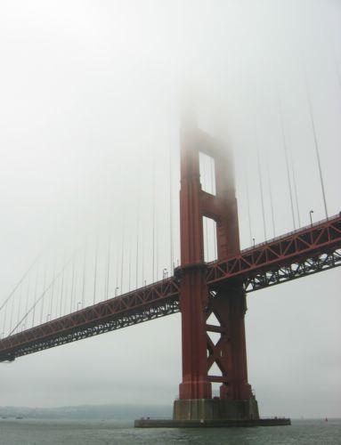 2005-08-28d Fog Closeup.jpg