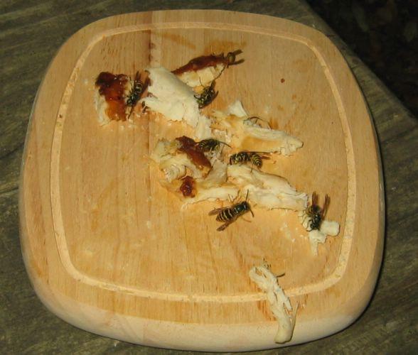 2005-09-04f Sacrifice.JPG