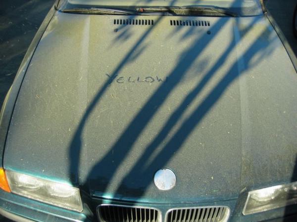 2005-10-07 Pollen.JPG