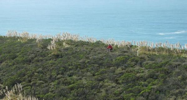 2005-10-16e Ridge.JPG