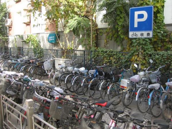 2005-11-10 D1 Odds and Ends - Bike Parking Lot.JPG