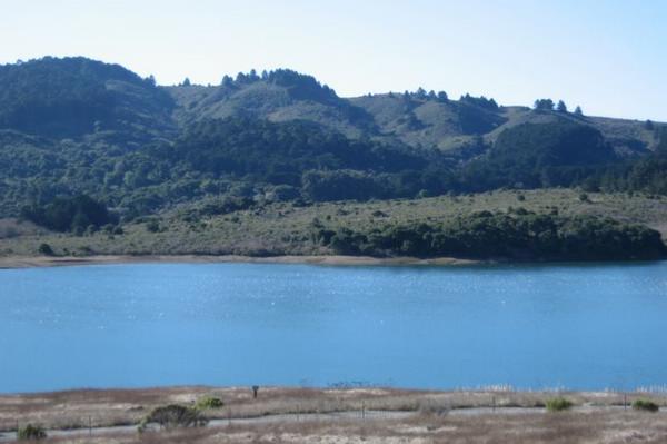 2005-12-03b Along Crytal Springs Reservoir.JPG