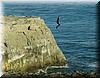2005-07-03o Cliff Jump.jpg