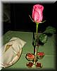 2005-07-28i Butter Rose.jpg