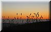 2005-09-04k Sunset 6.JPG