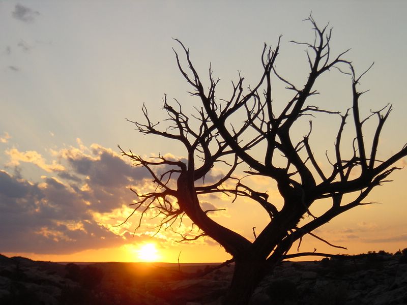 2002-10-30j Sunset over Moab.JPG