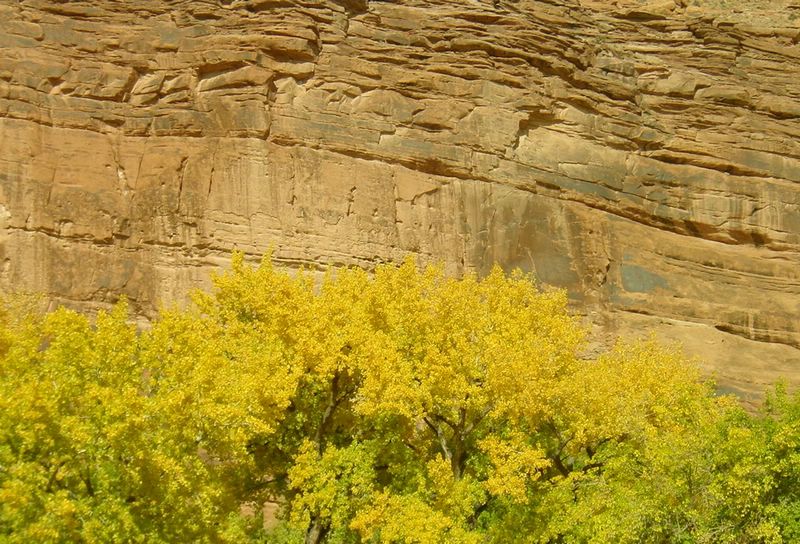 2002-10-31a Fall in Moab.JPG