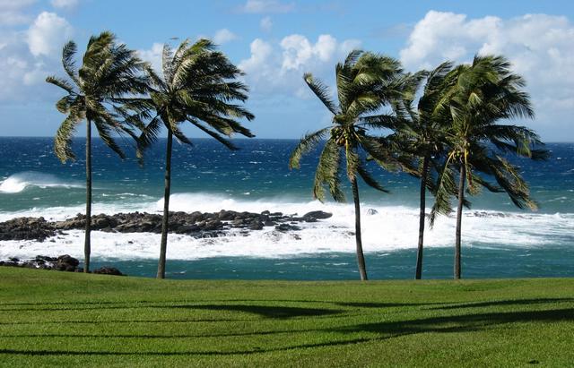 Best Photo 010 - Windy Day on Maui.JPG