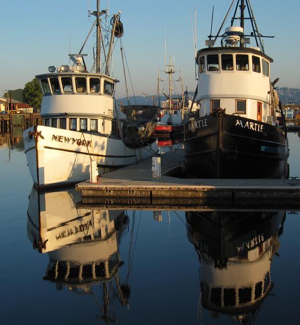 Best Photo 024 - Blaine Fishing Boats.JPG