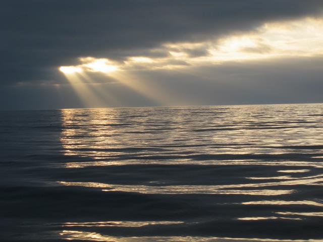 Best Photo 026 - California Coast Morning from Boat.JPG