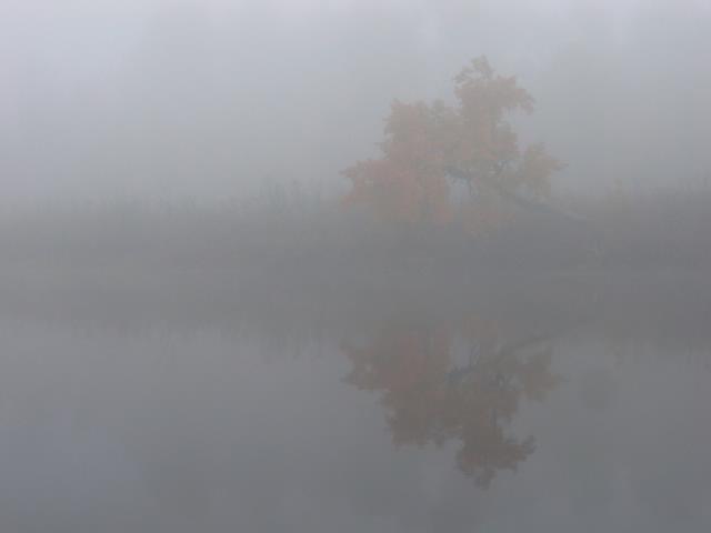 Best Photo 056 - Maine Fog 1.JPG