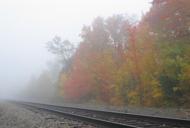 Best Photo 058 - Maine Fog 3.JPG