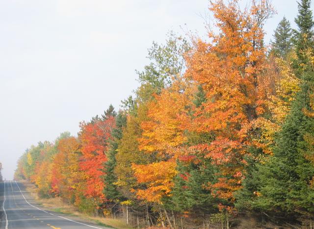 Best Photo 059 - New Hampshire Colors.JPG