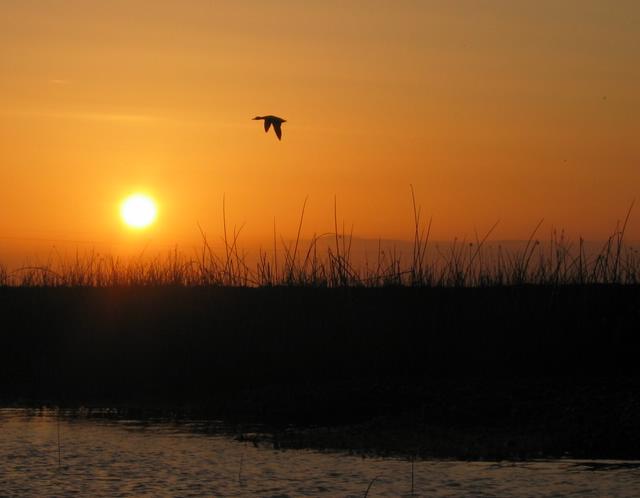 Best Photo 091 - Shoreline Sunset.JPG