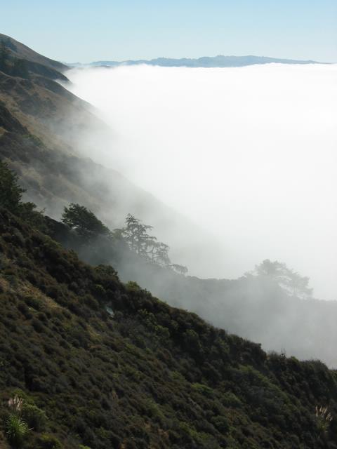 Best Photo 119 - Coastal Fog Sonoma County.jpg