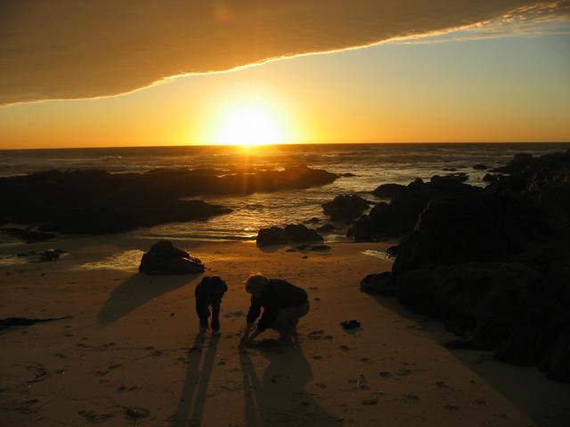 Best Photo 129 - Monterey Coast Sunset 2.JPG