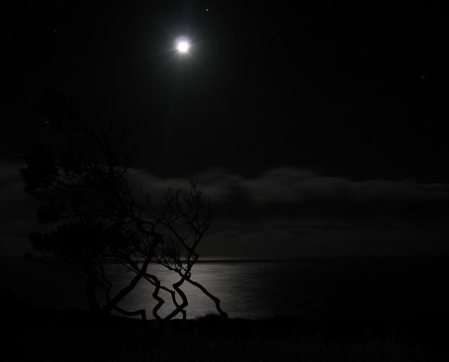Best Photo 205 - Timber Cove Moon.JPG