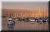 Best Photo 004 - Santa Barbara Harbor.JPG