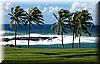 Best Photo 010 - Windy Day on Maui.JPG