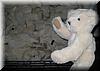 Best Photo 047 - Teddy Bear Factory.JPG