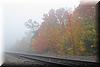 Best Photo 058 - Maine Fog 3.JPG