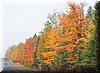 Best Photo 059 - New Hampshire Colors.JPG