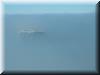 Best Photo 120 - Ocean Rock in Fog.JPG
