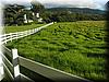 Best Photo 131 - Carmel Ranch Hotel.JPG