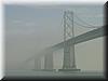 Best Photo 177 - Bay Bridge Fog 2.jpg