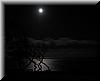 Best Photo 205 - Timber Cove Moon.JPG