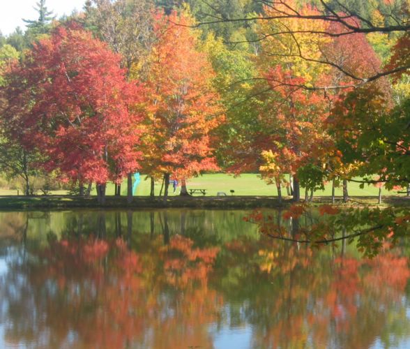 2003-10-08i Pond Reflections.JPG