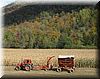 2003-10-07h Harvest.JPG