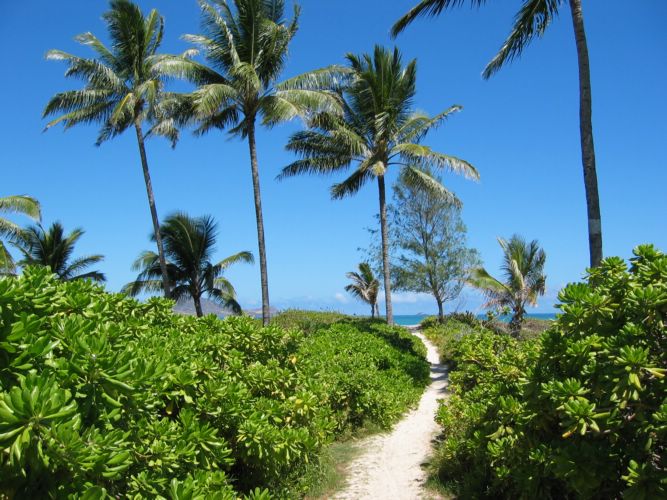 2003-09-26a Path to Kailua Beach.JPG