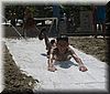 2003-07-03a Boy sliding.JPG