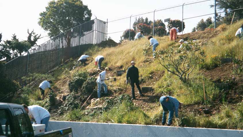 05 Starting to attack the hill... all weeds needed to be cleared