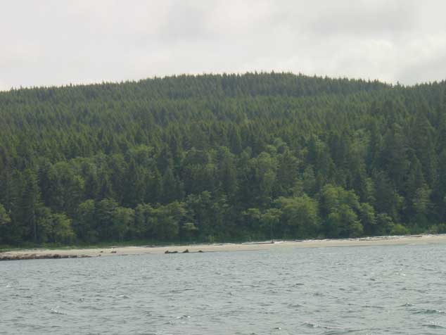 DSC00012 Approaching Neah Bay harbour