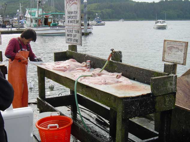 DSC00016 A real fishing harbour