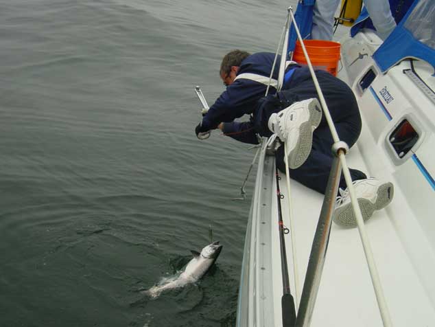 DSC00255 Salmon number 2! The fisherman was instructed to...